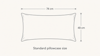 Prevacore Silk Pillowcase (48cm x 74cm)